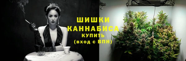 прущие грибы Белоозёрский