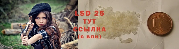 прущие грибы Белоозёрский