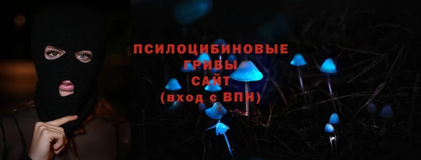 молекула духа Покачи