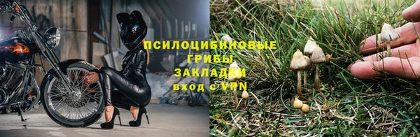 хмурый Беломорск
