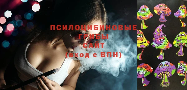 прущие грибы Белоозёрский
