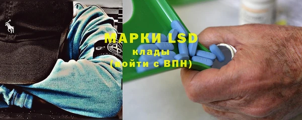прущие грибы Белоозёрский