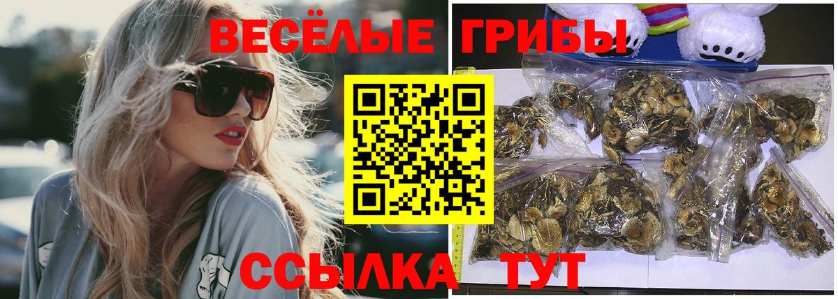 Псилоцибиновые грибы MAGIC MUSHROOMS Реутов