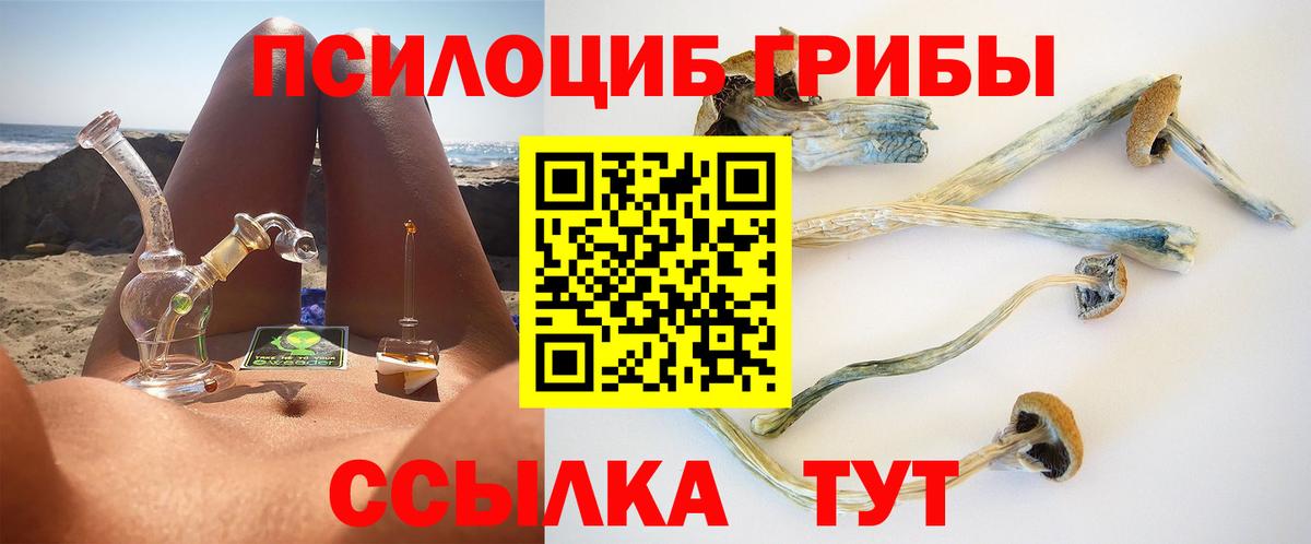 Реутов  Псилоцибиновые грибы Psilocybine cubensis  где купить   Вход с VPN 